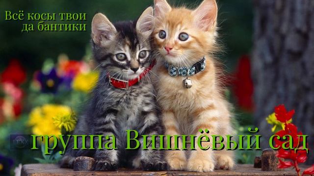 🍀Все косы твои да бантики🍀 группа Вишнёвый сад ☕ смотреть онлайн