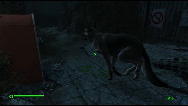 Прохождение Fallout 4. Cафари