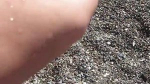 Вот они, рыбы которые кусают туристов за пятки. Кемер, Турция.