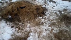 Сломал вынос руля велосипеда|Постройка нового трамплина