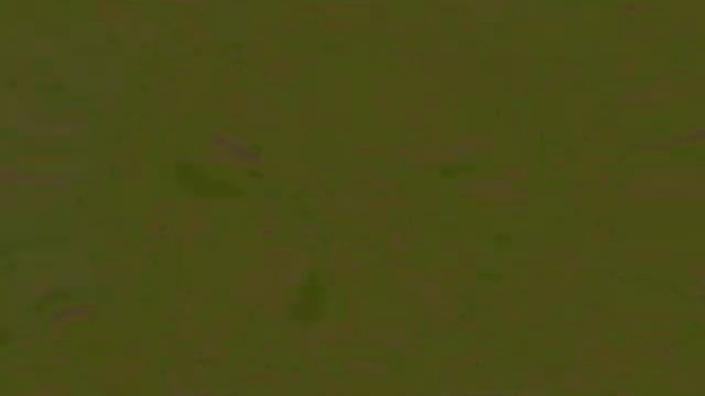 Klasky Csupo Nero Vision 8 Effects смотреть онлайн