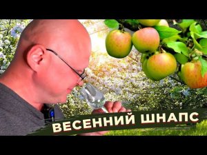 Весенний шнапс.