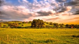 А.В.Клюев - Этюды супраментальной жизни ? 8/8