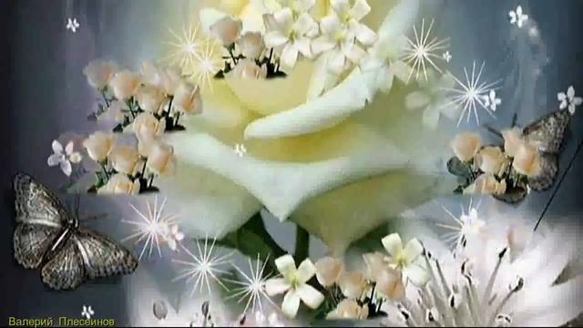 Миша Мирный на стихи Татьяны Спасюк - Роза любви смотреть онлайн