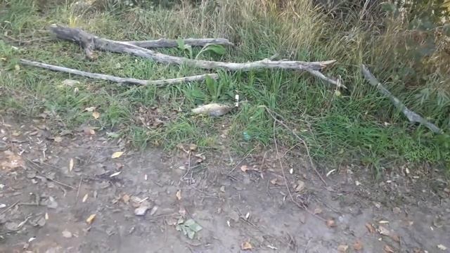 рыбалка Сухой Донец 3 октября 2022 смотреть онлайн