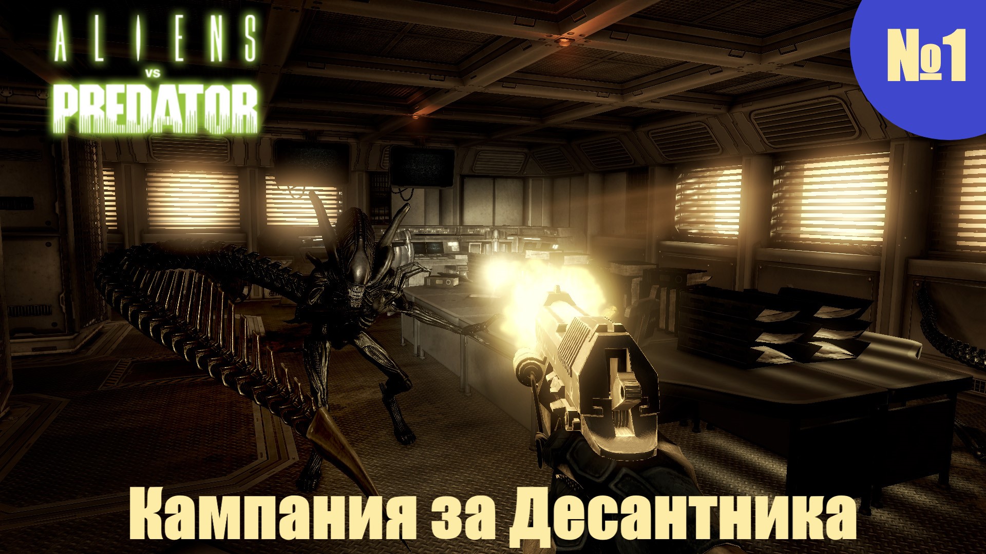 Проходит кампания. Aliens vs. Predator (игра, 2010). AVP игра 2010. Alien vs Predator 2010. Aliens versus Predator игра 2010.