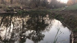 Рыбалка сетью в своем пруду на даче. Ловля толстолоба. Ловим рыбу на сети. Ставим сеть. FISHING