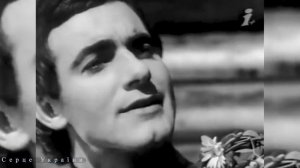 Залишені квіти - Василь Зінкевич (Не знаю я чи знов сюди прийду)