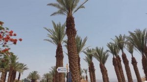 Эйлат. Курортная набережная Эйлата  -- Израиль