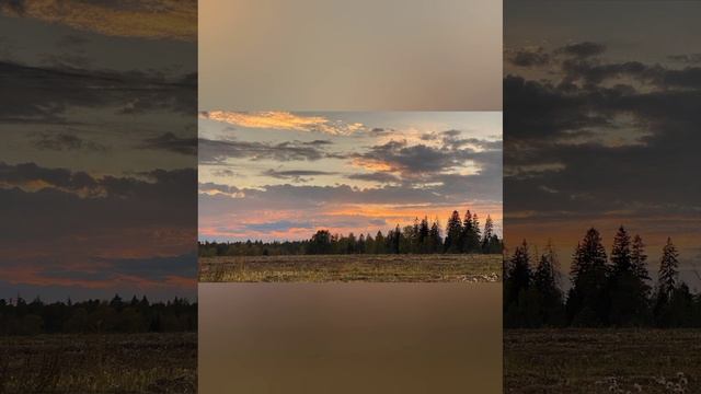 Борис Пастернак " Золотая осень " смотреть онлайн