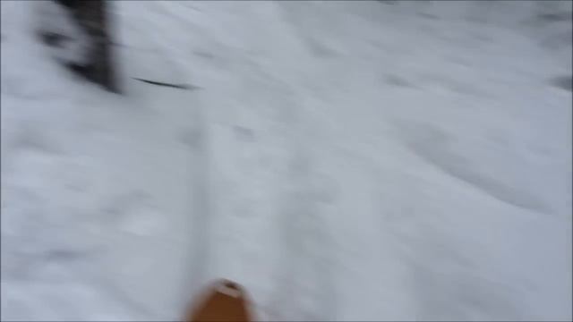 Охота на волков . смотреть онлайн