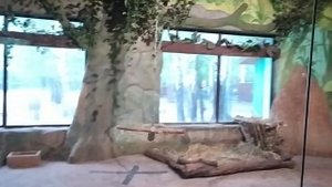 Нижний Новгород: 13. Зоопарк "Лимпопо"