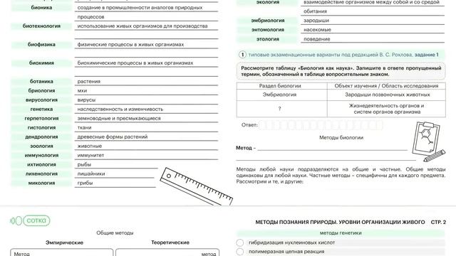 УДАЧНЫЕ ПОКУПКИ ДЛЯ ДОМА С WILDBERRIES