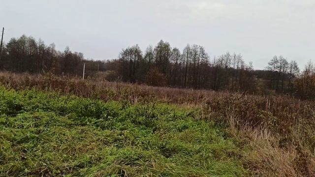 Калужская область! Деревня Гостижье Барятинский район!!!