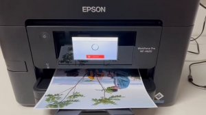 Epson Work Force WF-4820 com qualidade fotográfica