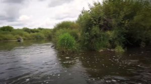 сплав рыбалка р. Немда