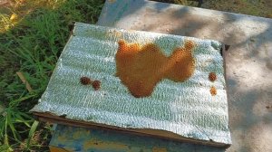 мои застовные