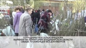 Сотрудники Россельхознадзора во Владимирской области выявили более 70 саженцев без маркировки
