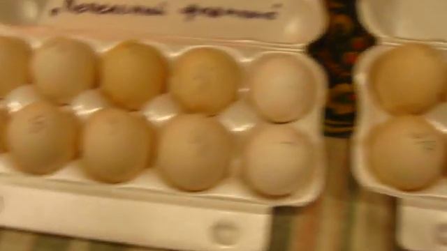 Вес и цвет яйца.Новые окрасы.Порода Леггорн смотреть онлайн