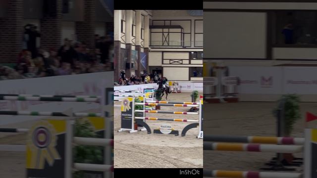 Кубок России по конкуру 🏆 
#конныйспорт #верховаяезда #лошади