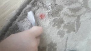 как отстирать помаду от ковра за 5 сек