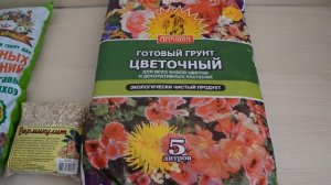 Грунт для бугенвиллии