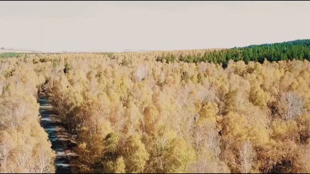 Съёмки последних дней осени
