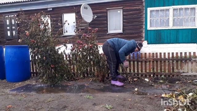 Семья из Казахстана.Уже надоели.Отдала Скоро будет красиво.
