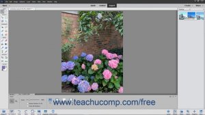 Photoshop Elements 2020 Tutorial Applying Effects Adobe Training