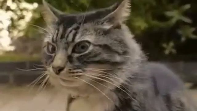 Весёлая музыка про друзей смотреть онлайн