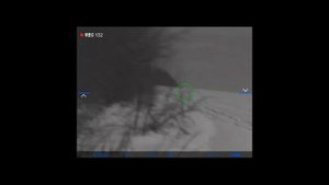 Ночная охота с ночным прицелом Pulsar 455. Встретились две лисы.