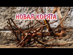ПРИГОТОВИЛ НОВУЮ КОРЯГУ