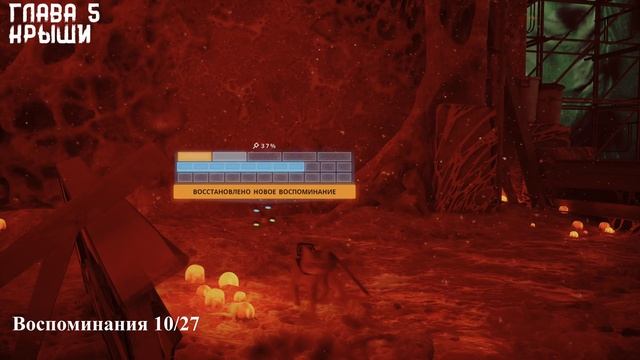 Stray. Все трофеи. Гайд по платине (Kamila, PS5)