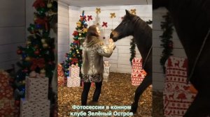 Фотосессии в конном клубе Зелёный Остров