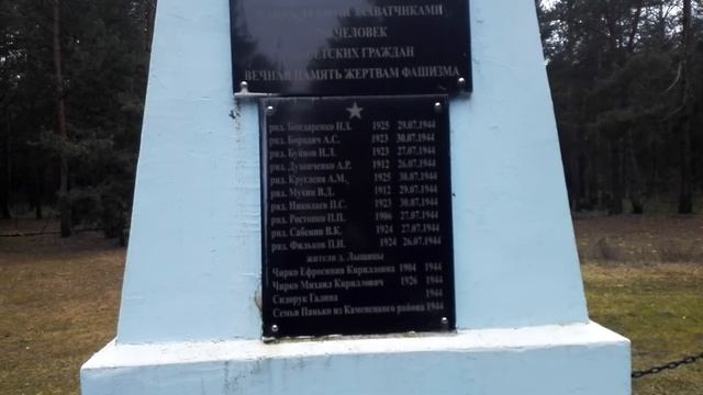 Захоронение в лесу смотреть онлайн