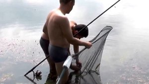 ГИГАНТСКИЙ КАРП. РЫБАЛКА В ВОРОНЕЖСКОЙ ОБЛАСТИ.