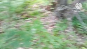 Коп металла с прибором Ака Кондор 3м 104 выпуск