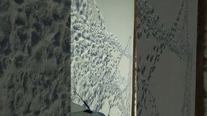 Рыбалка Казахстан Джамбульская область2018