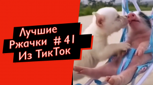 ПРИКОЛЫ ИЗ ТИК ТОК  10 МИНУТ ТИК ТОКА ТИК ТОК МЕМЫ РЖАЧКИ ИЗ ТИК ТОК ЛУЧШИЕ ПРИКОЛЫ 2021