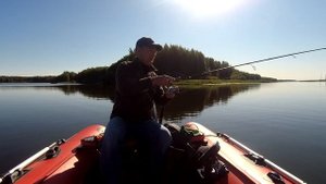 Первое знакомство и рыбалка на реке Стежера , окуни охотники ,или охотятся на них ?