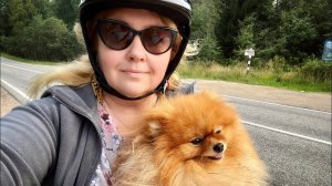 МАША ЗАБОЛЕЛА, ТАФФИ ТАНЦУЕТ, А Я ЛЕНЮСЬ ГОТОВИТЬ И ОТМЕНЯЮ ПЛАНЫ