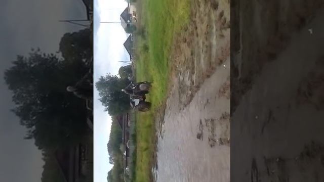 ЛЮТЫЙ АППОРАТ смотреть онлайн