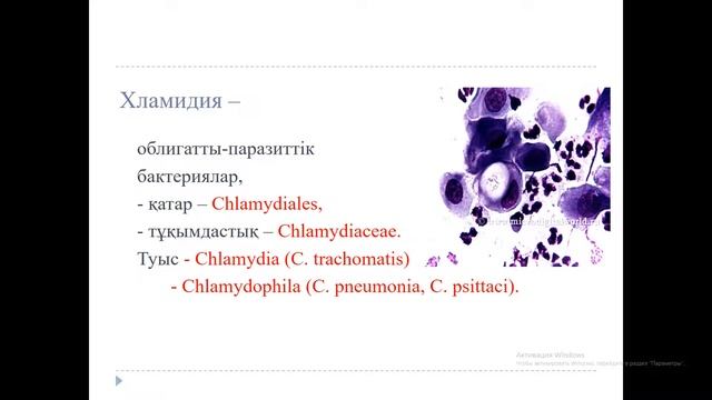 Хламидия, трепонема каз смотреть онлайн