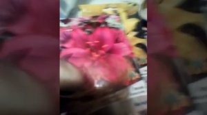 12 марта 2020 г. Лилия Азиатская Мапира