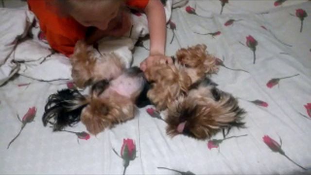 беня 02.07.2023 смотреть онлайн