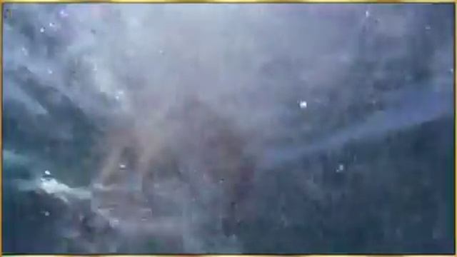 Почему многие люди любят животных,потому что они не предают как люди. смотреть онлайн