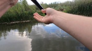 Рыбалка на перетяг