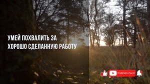 ДЕНЬ 29. Позитивное Настроение | Мудрость и Мотивация на Каждый День | Становись Лучше с Каждым Днё