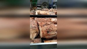 Отзыв о прицепе Кремень Бизнес | 2 сосны влезает