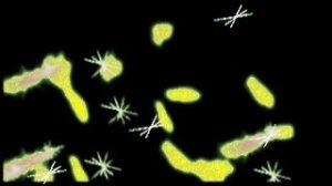 Jan Johnston - Silent Words (Mekka & Monoboy Remix)